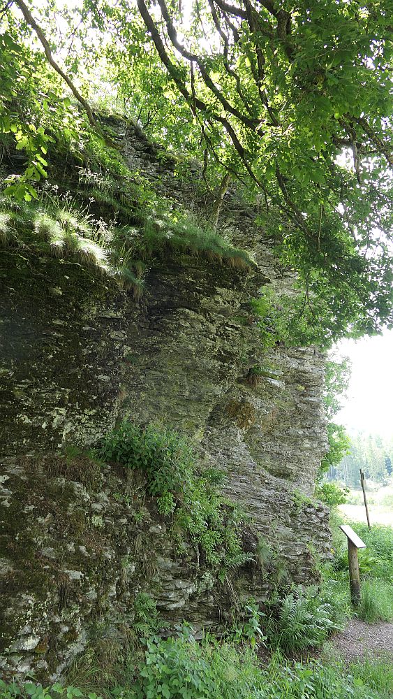 Saar Hunsrueck Steig