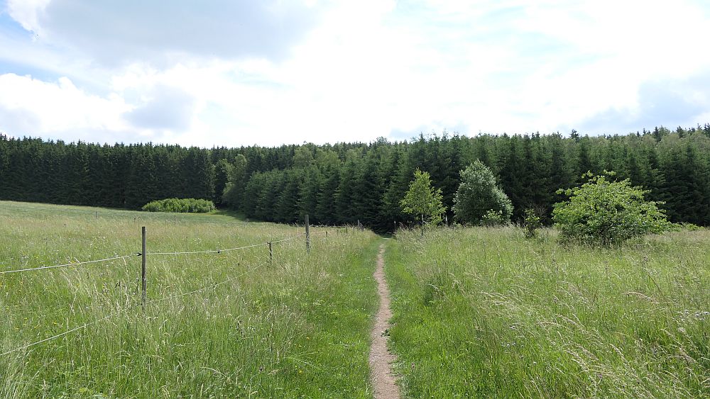 Saar Hunsrueck Steig