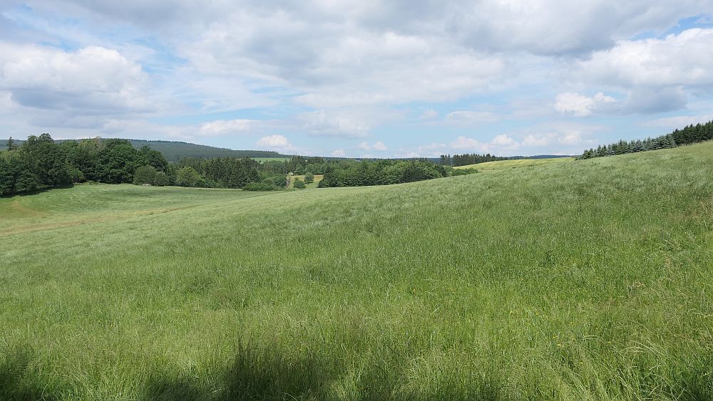 Saar Hunsrueck Steig