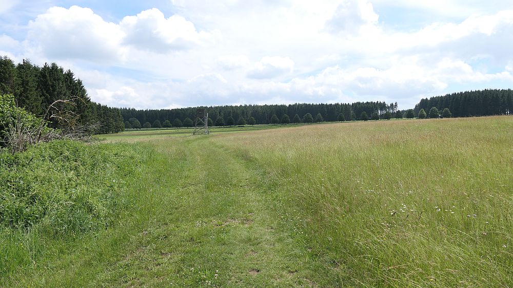 Saar Hunsrueck Steig
