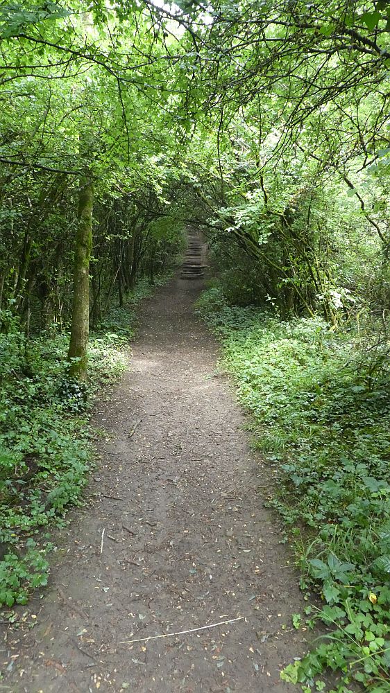 Saar Hunsrueck Steig