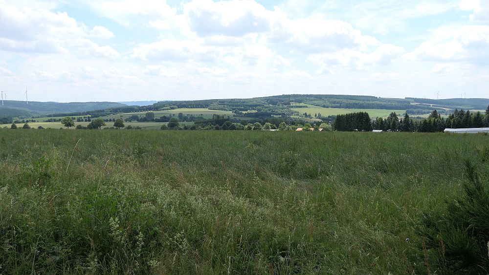 Saar Hunsrueck Steig
