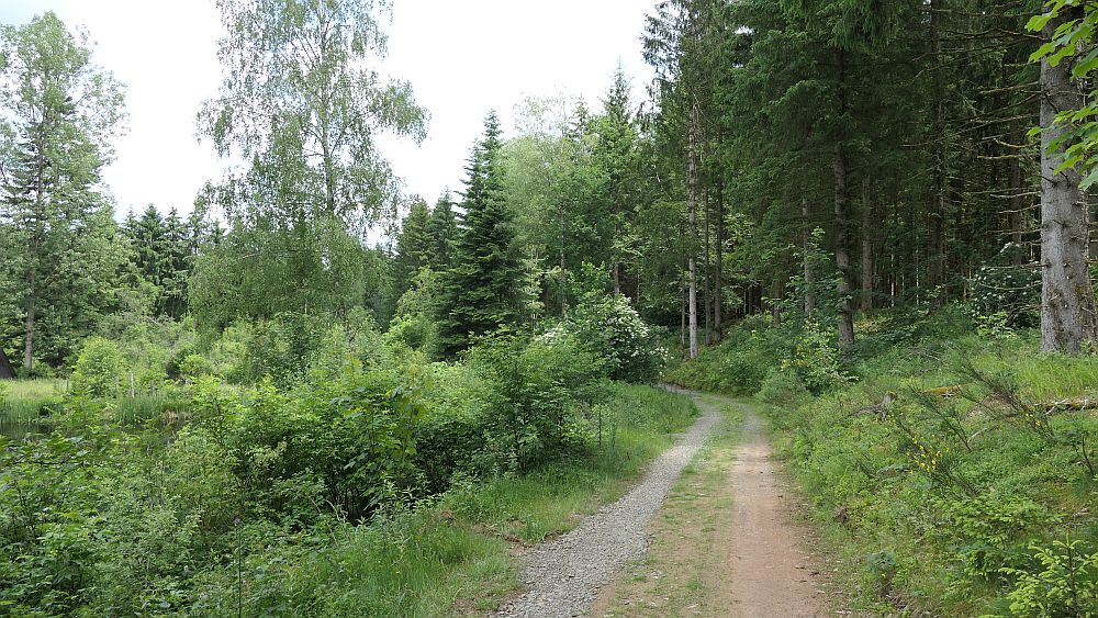 Saar Hunsrueck Steig
