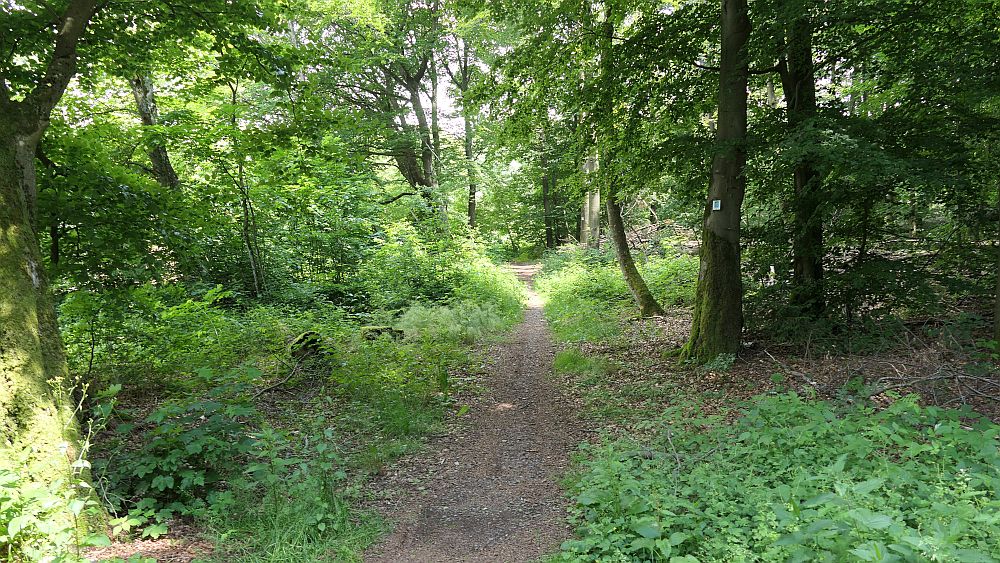 Saar Hunsrueck Steig