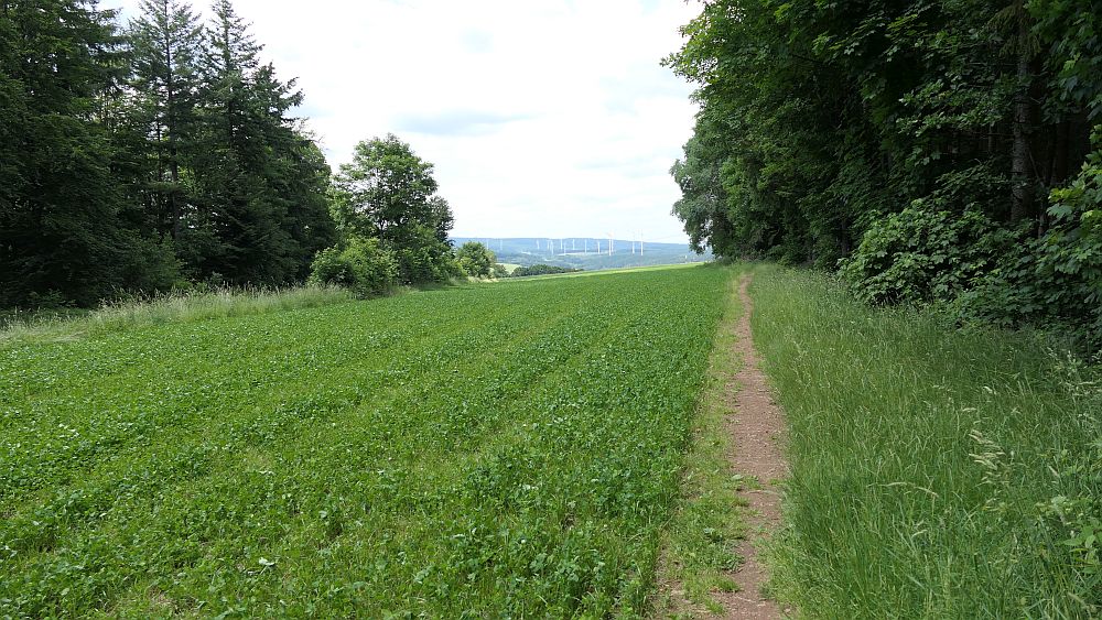 Saar Hunsrueck Steig