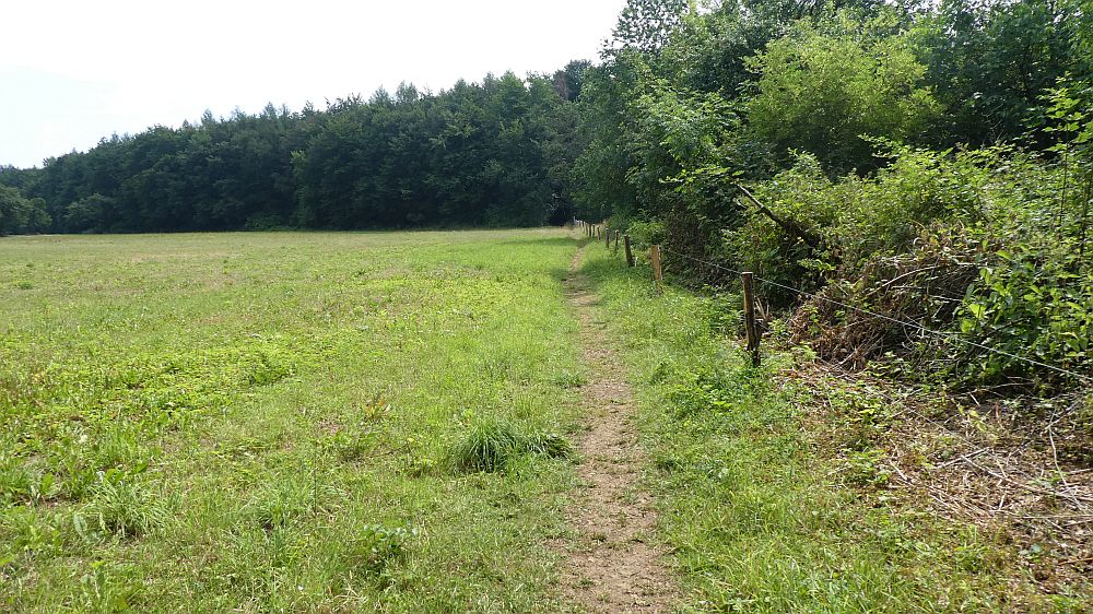 Saar Hunsrueck Steig
