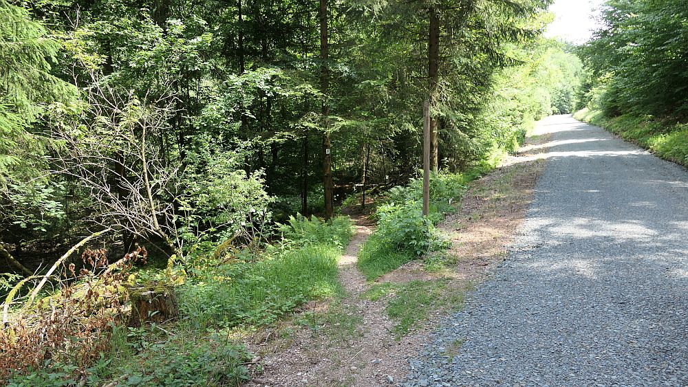 Saar Hunsrueck Steig