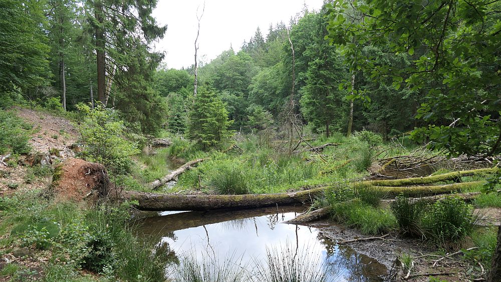 Saar Hunsrueck Steig