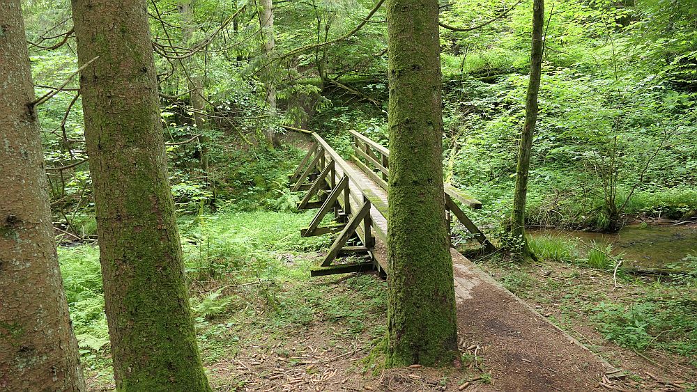 Saar Hunsrueck Steig
