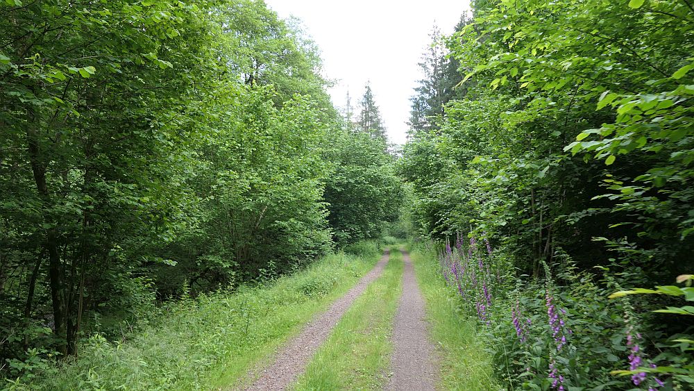 Saar Hunsrueck Steig