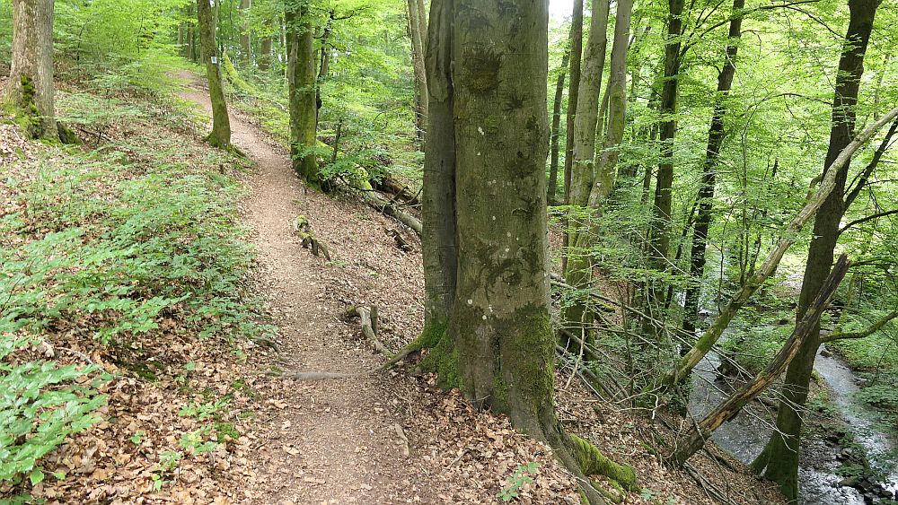 Saar Hunsrueck Steig