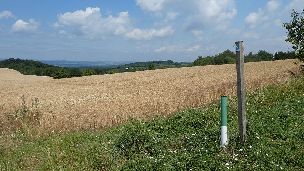 Saar Hunsrueck Steig
