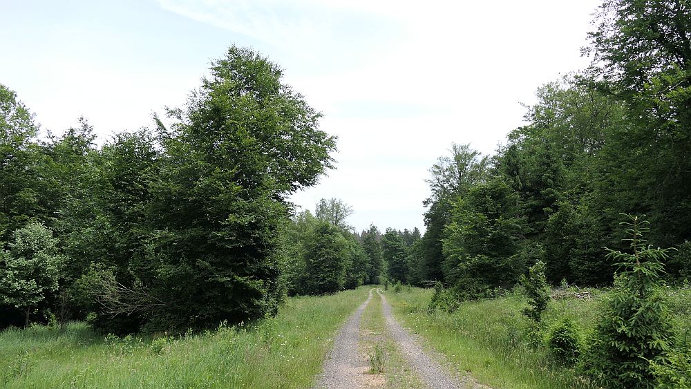 Saar Hunsrueck Steig
