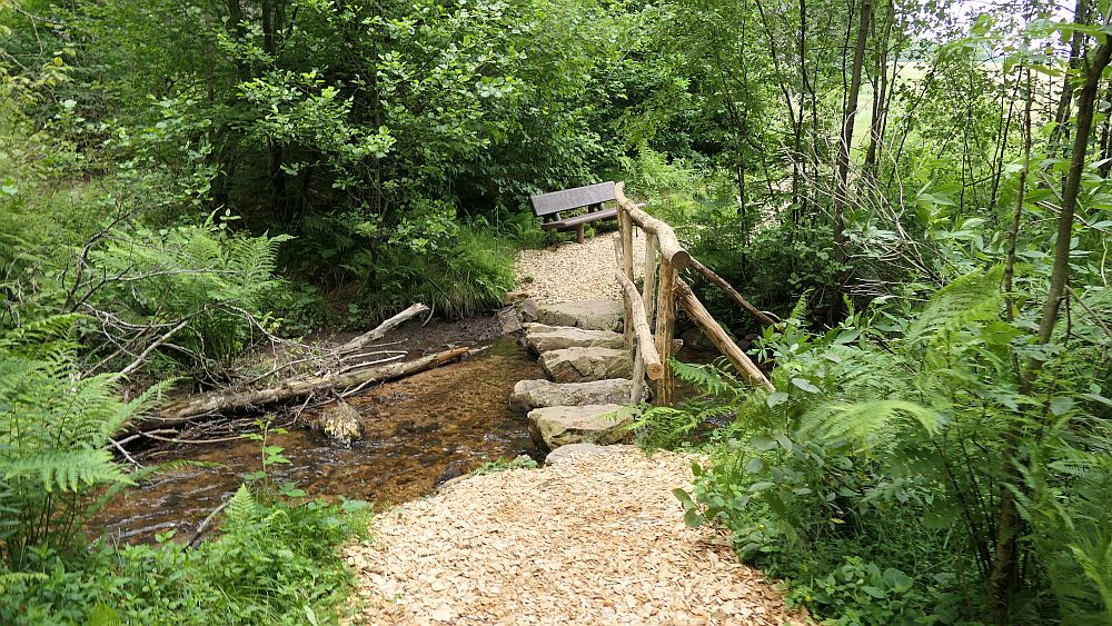 Saar Hunsrueck Steig