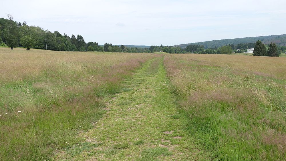 Saar Hunsrueck Steig