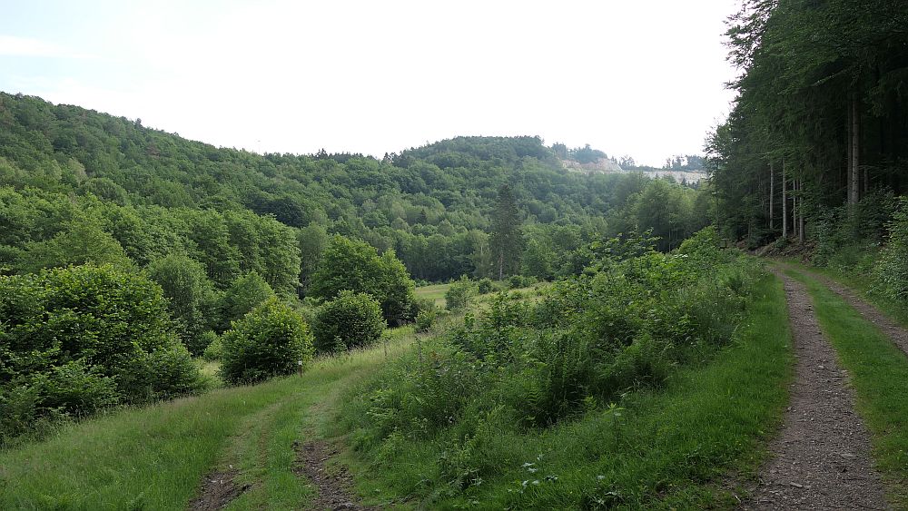 Saar Hunsrueck Steig