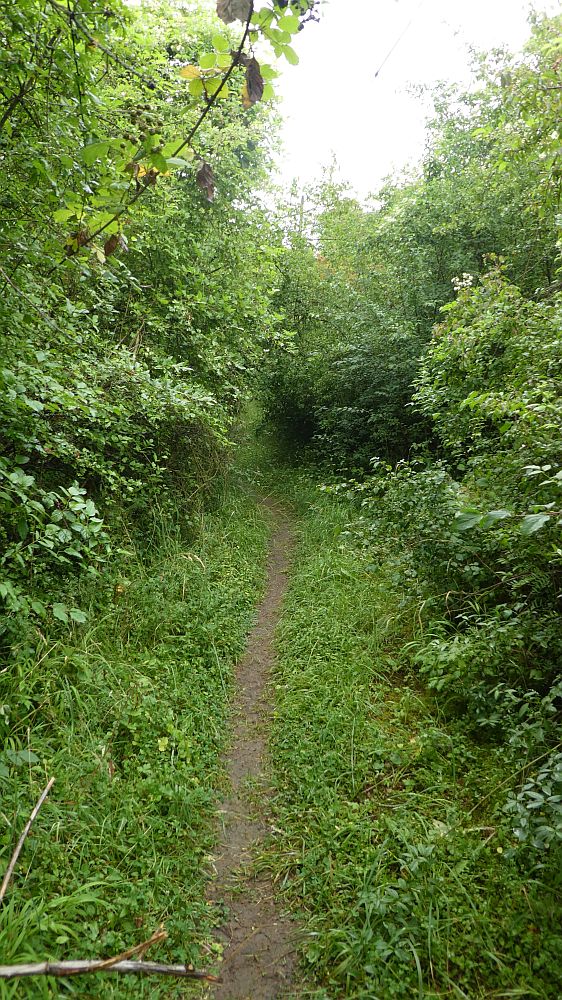 Saar Hunsrueck Steig