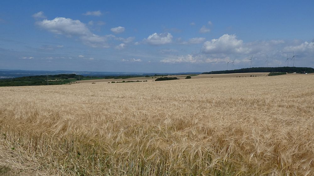 Saar Hunsrueck Steig