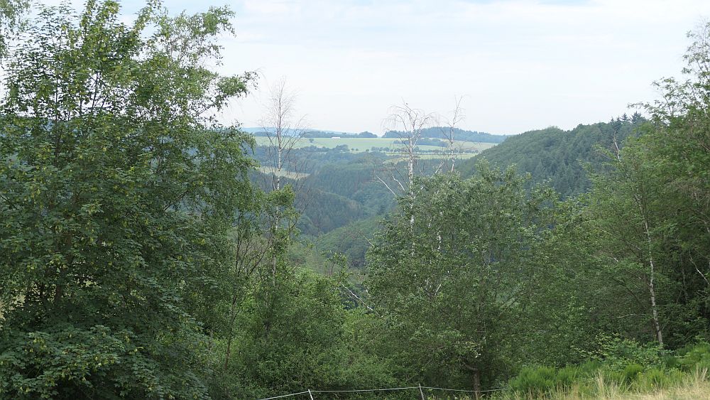 Saar Hunsrueck Steig