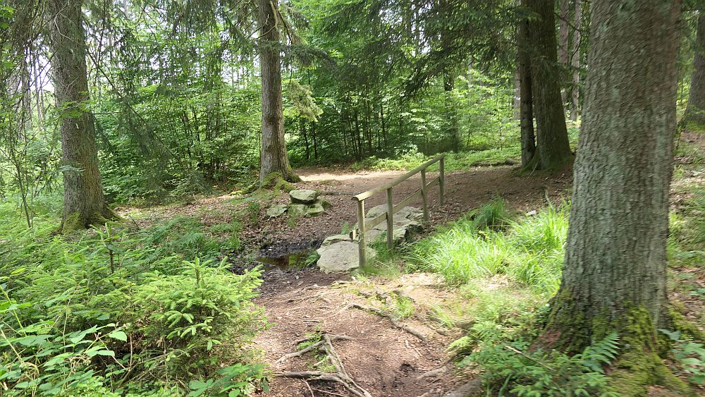 Saar Hunsrueck Steig