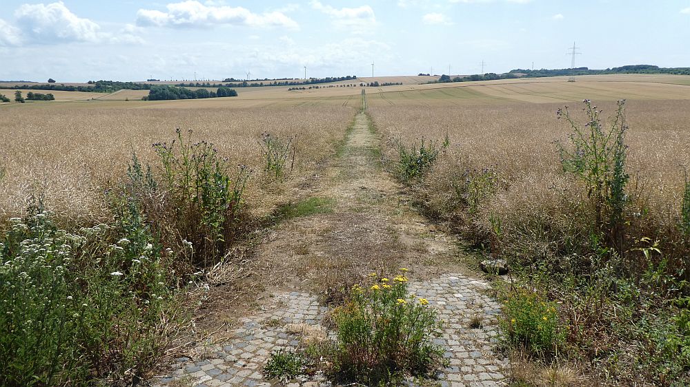 Saar Hunsrueck Steig