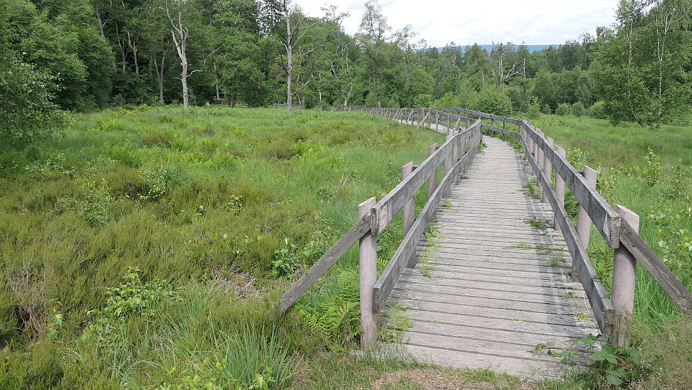 Saar Hunsrueck Steig