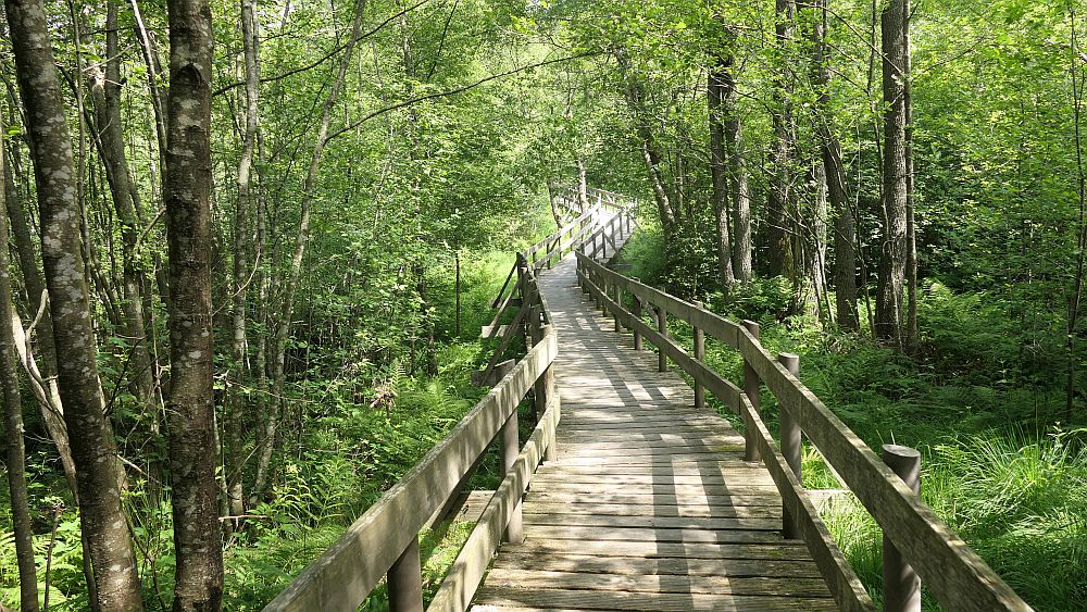 Saar Hunsrueck Steig