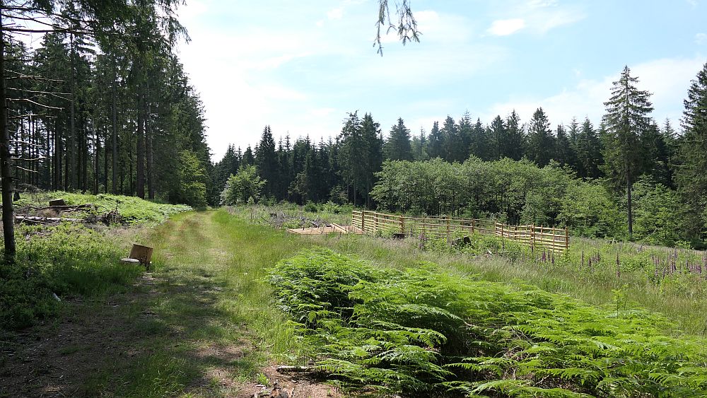 Saar Hunsrueck Steig