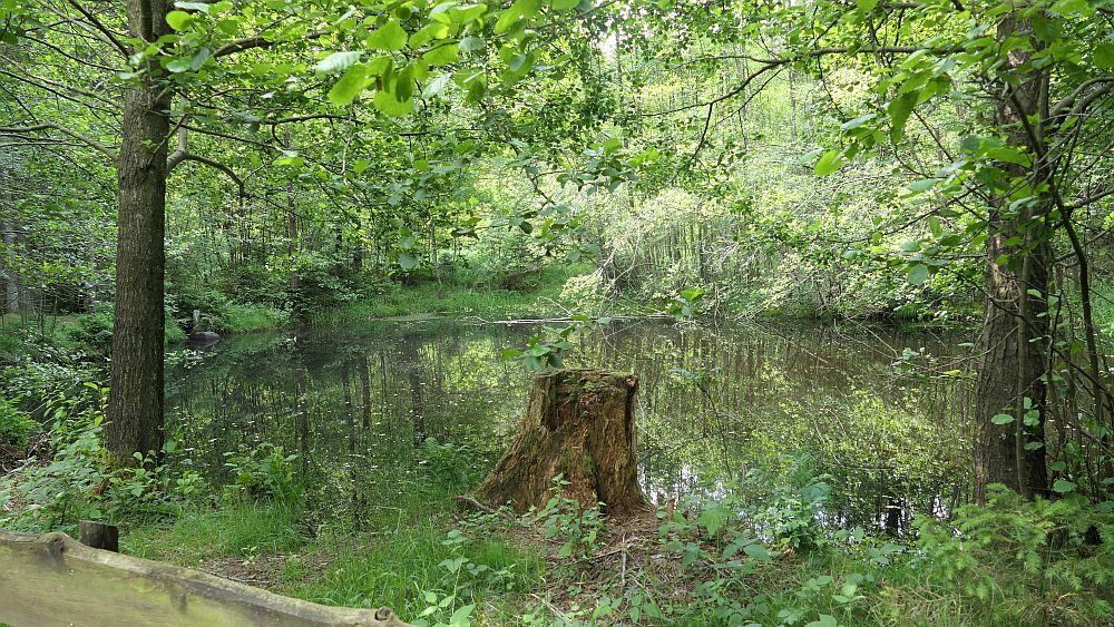 Saar Hunsrueck Steig