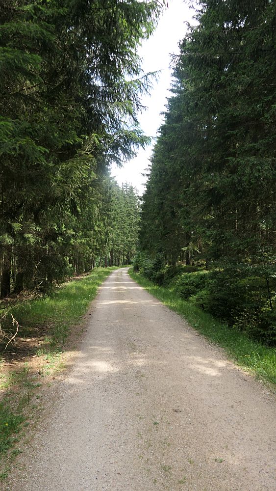 Saar Hunsrueck Steig
