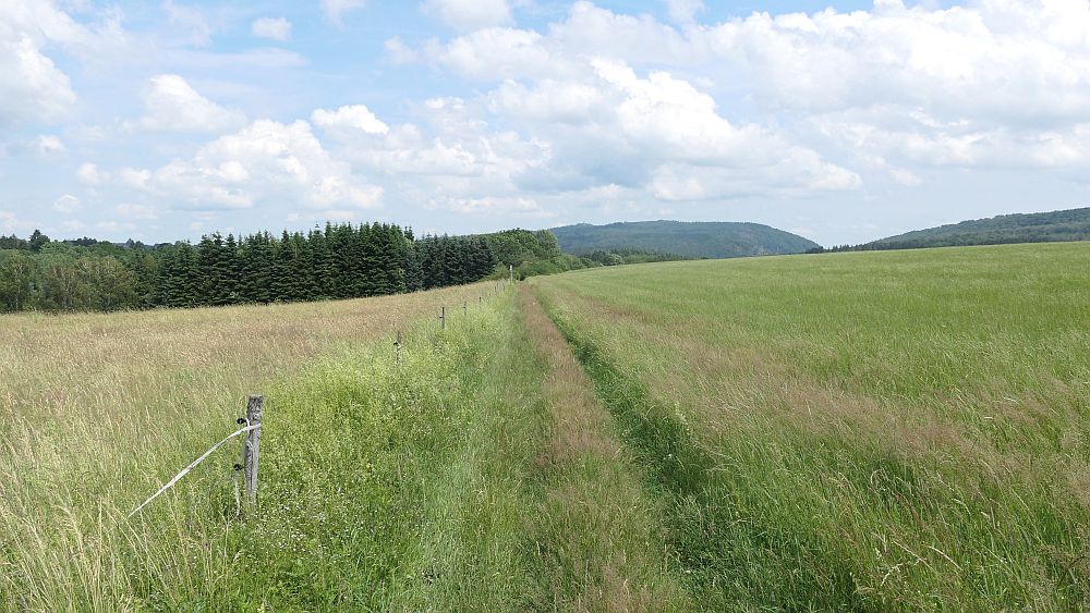 Saar Hunsrueck Steig
