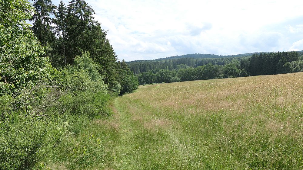 Saar Hunsrueck Steig