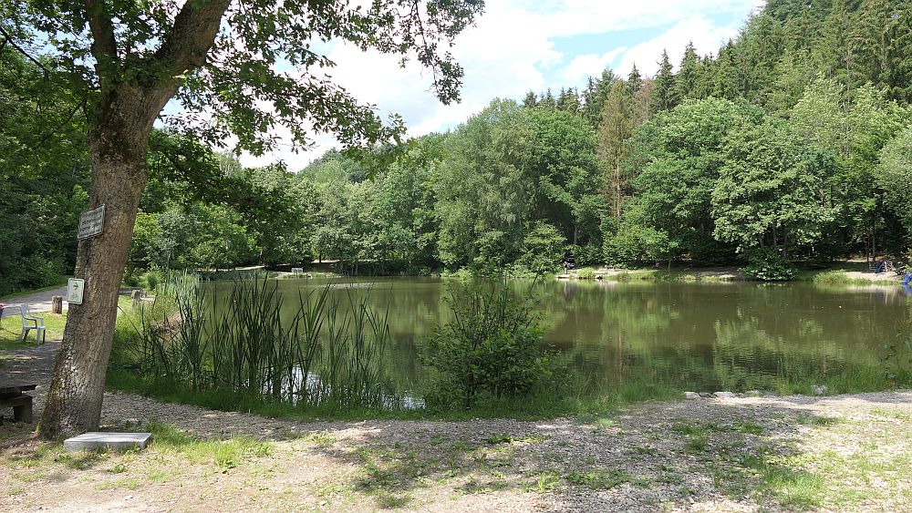Saar Hunsrueck Steig