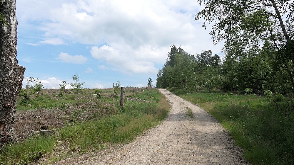 Saar Hunsrueck Steig