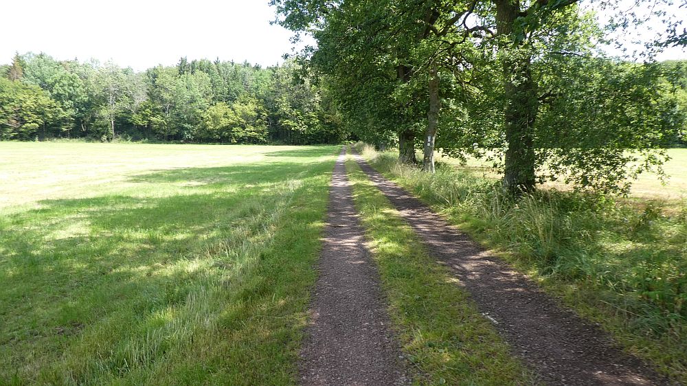 Saar Hunsrueck Steig