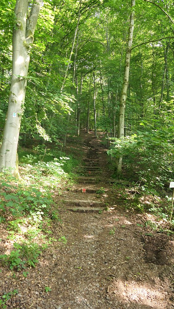 Saar Hunsrueck Steig