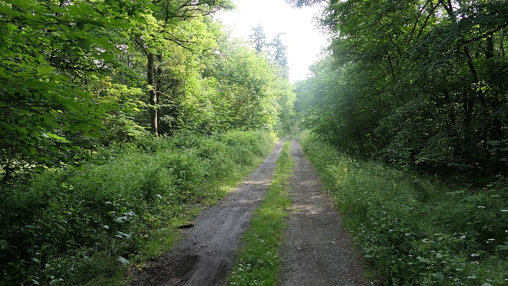 Saar Hunsrueck Steig