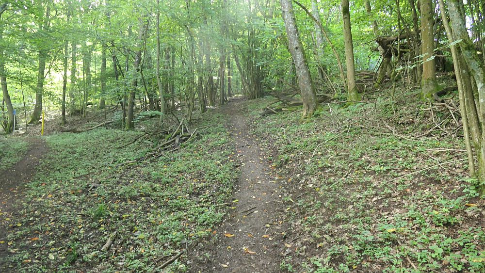 Saar Hunsrueck Steig