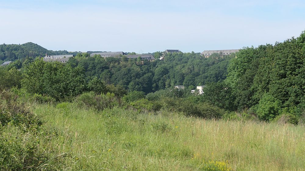 Saar Hunsrueck Steig