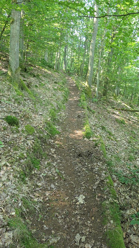 Saar Hunsrueck Steig
