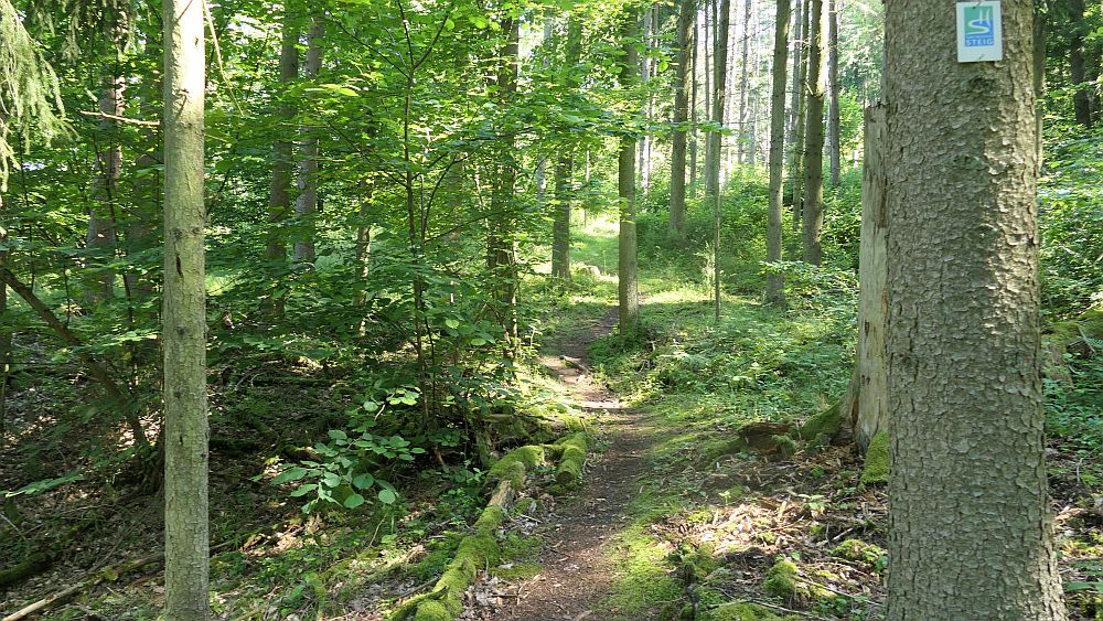 Saar Hunsrueck Steig