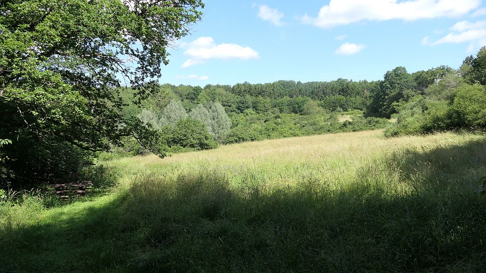 Saar Hunsrueck Steig
