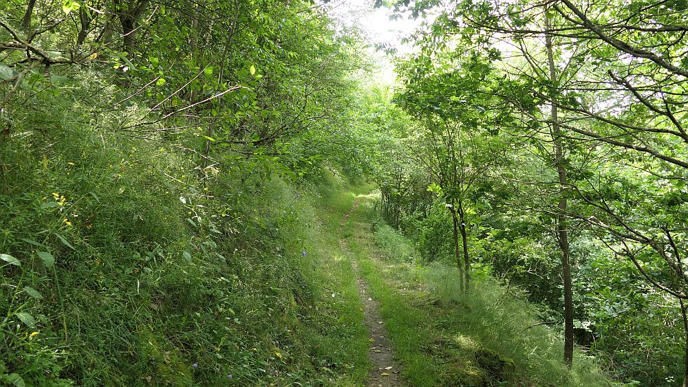 Saar Hunsrueck Steig