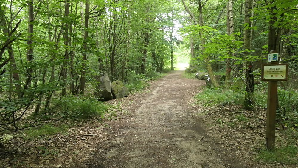 Saar Hunsrueck Steig