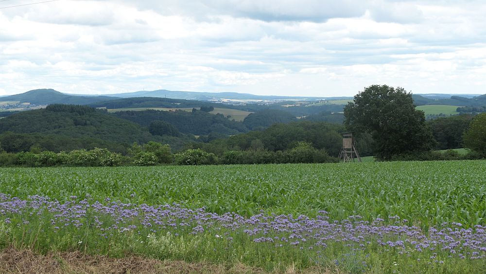 Saar Hunsrueck Steig