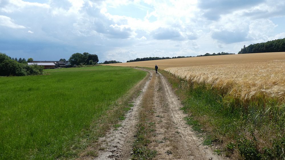 Saar Hunsrueck Steig