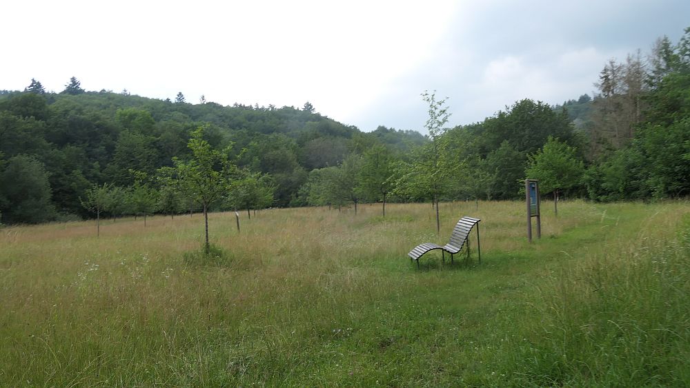 Saar Hunsrueck Steig