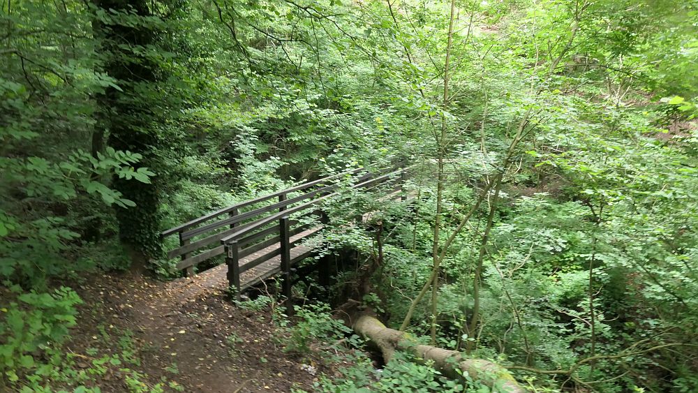 Saar Hunsrueck Steig