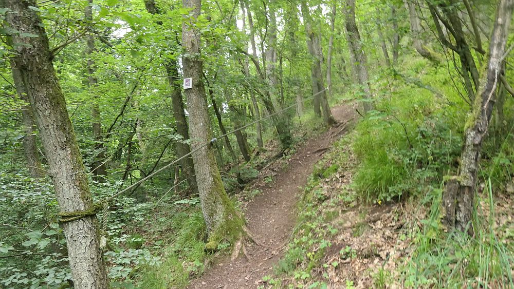 Saar Hunsrueck Steig