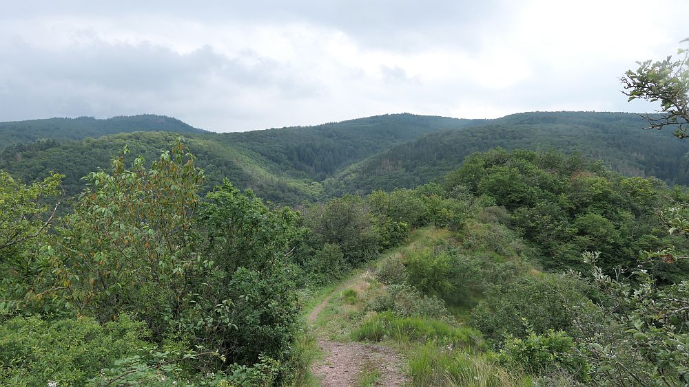 Saar Hunsrueck Steig